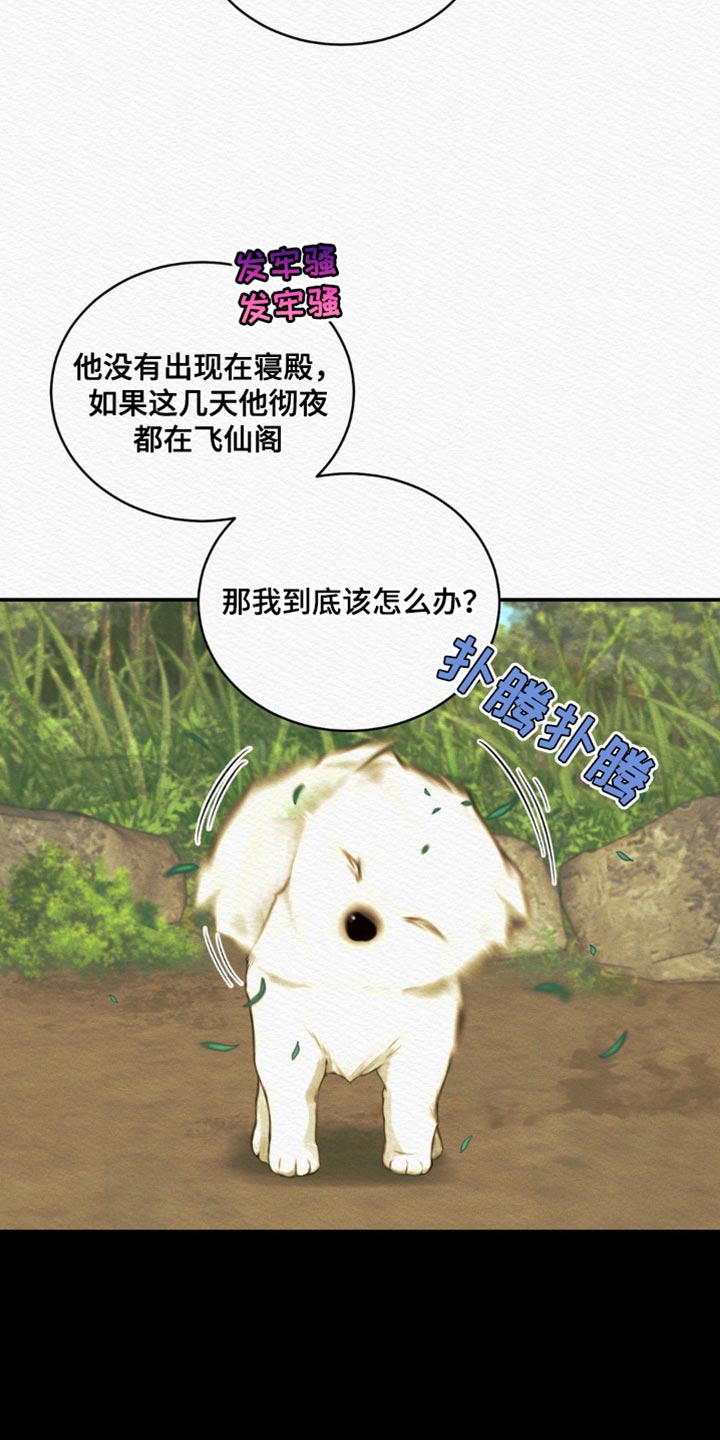 第74章：【第二季】去找他2
