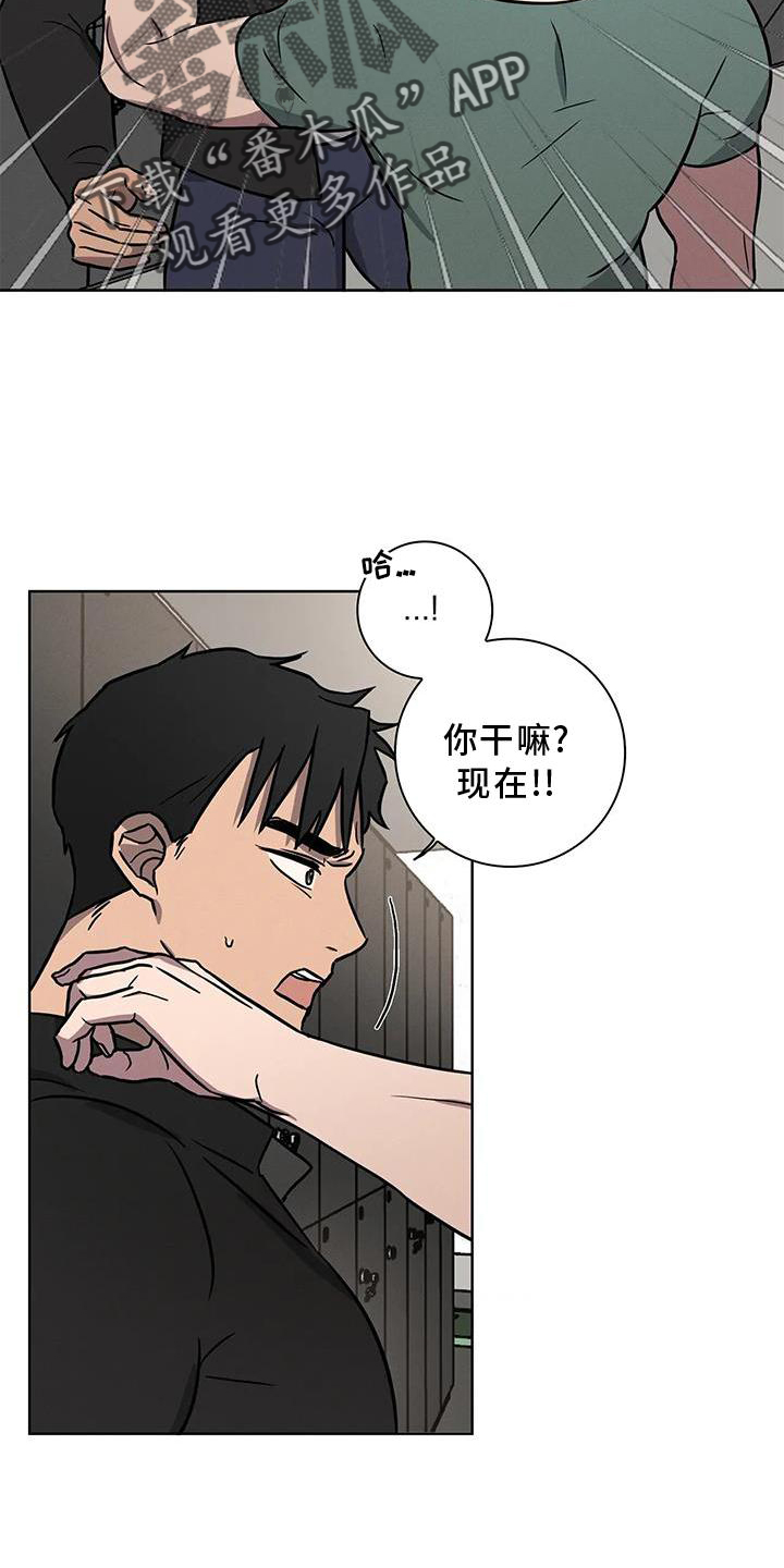 第19章：利用2