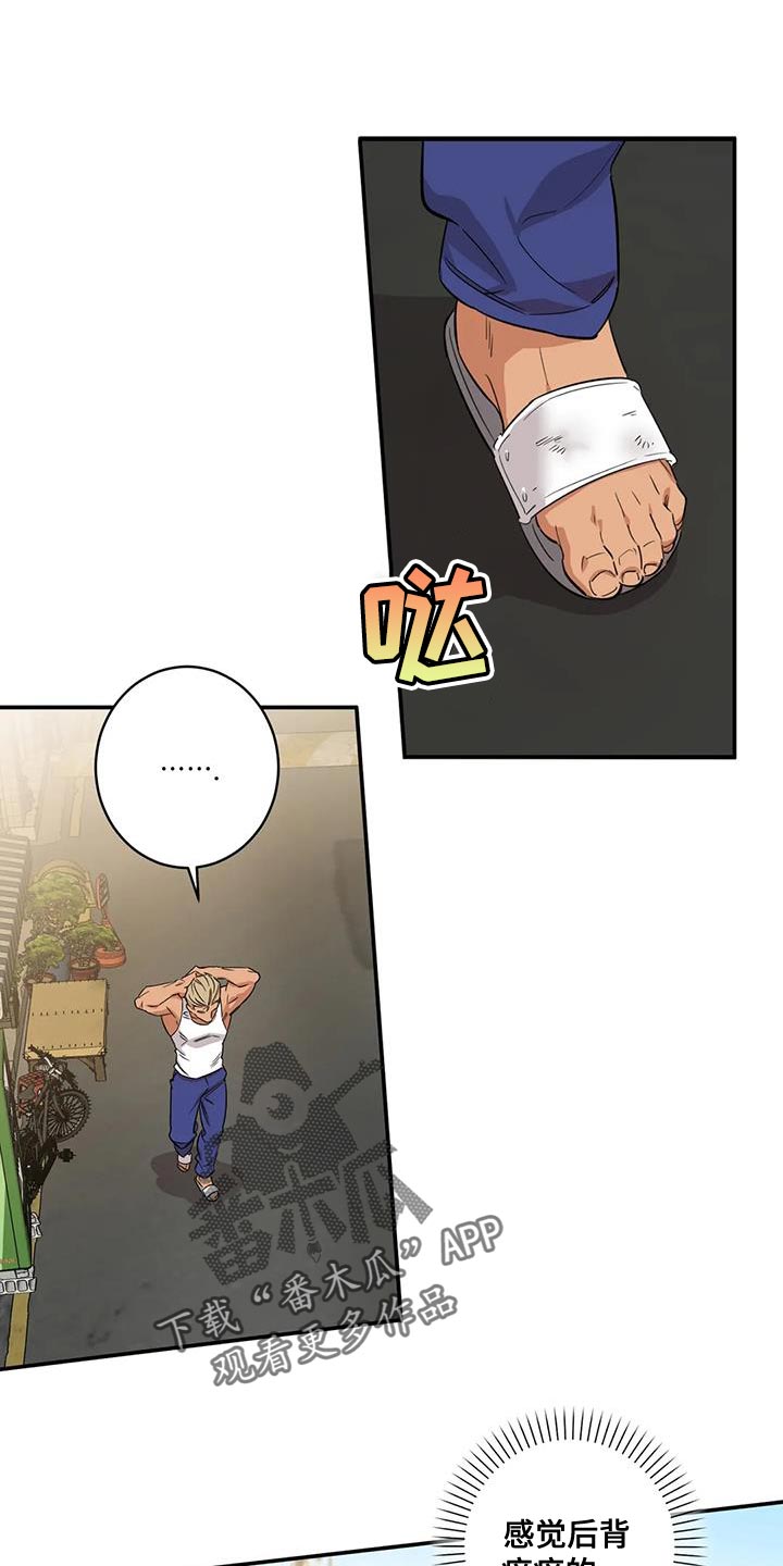 第22章：马上找个人0