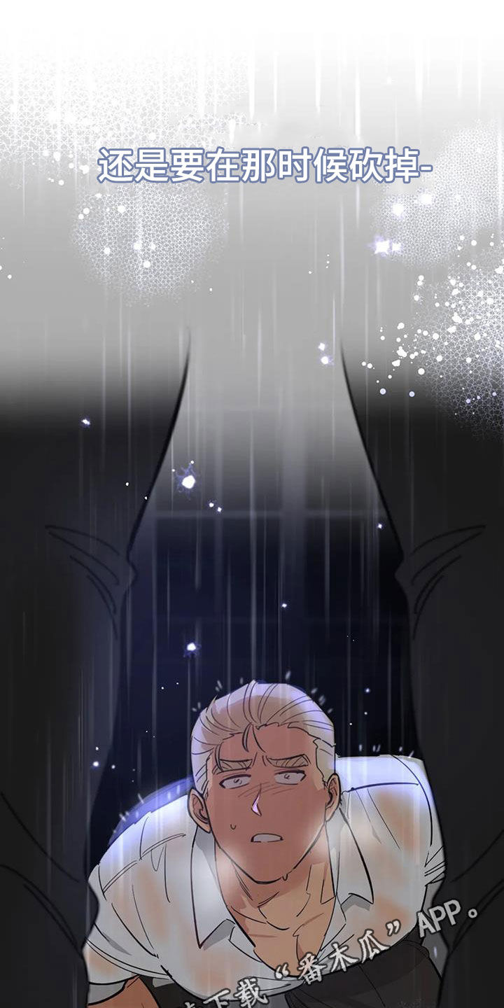 第14章：相似0