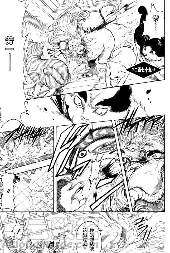 第279话 野猫哀歌0