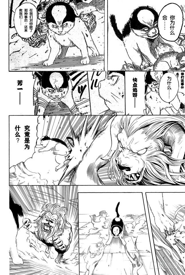 第279话 野猫哀歌3