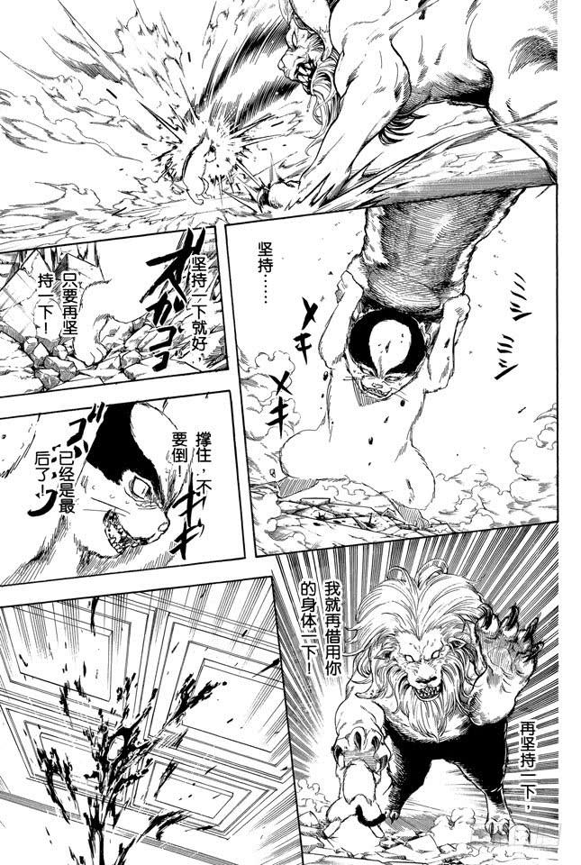 第279话 野猫哀歌4
