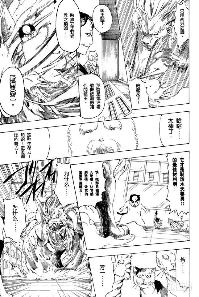 第279话 野猫哀歌2