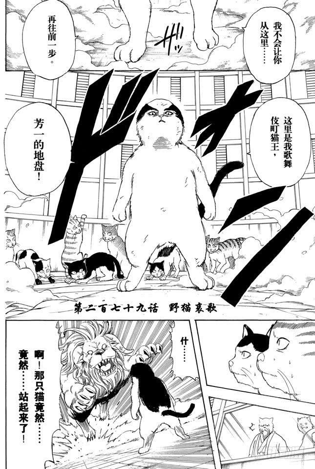 第279话 野猫哀歌1
