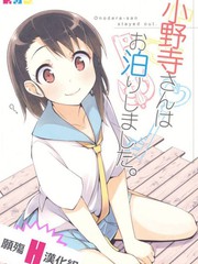 新图163