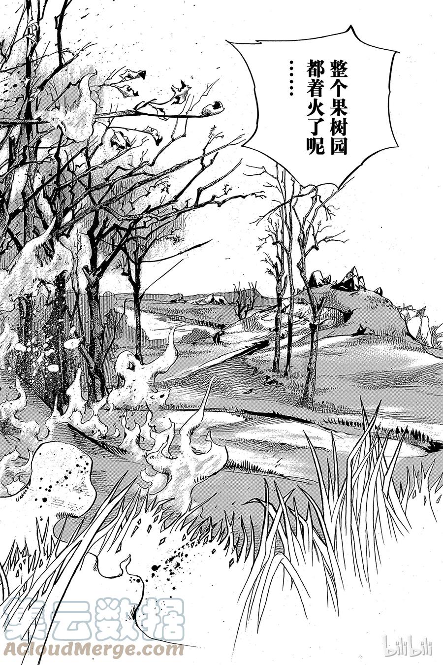 74 臭氧宝贝的加压  其21