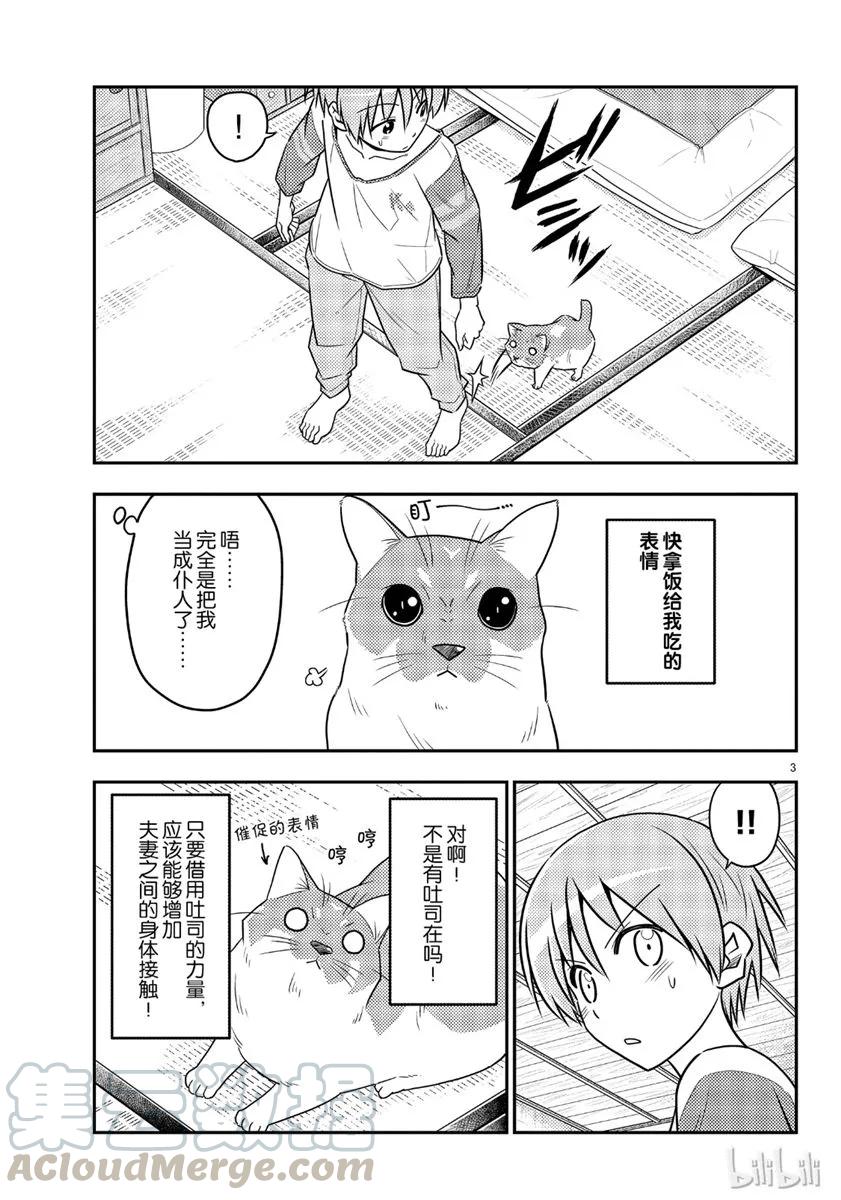 53 第53话“猫  vs  夫妻”2