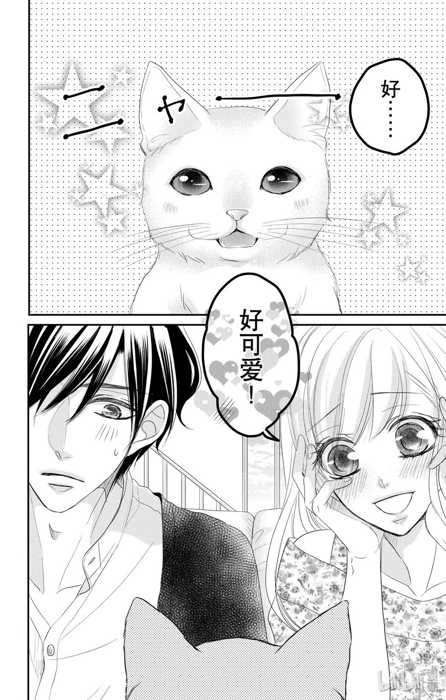 48 小猫和宝宝1