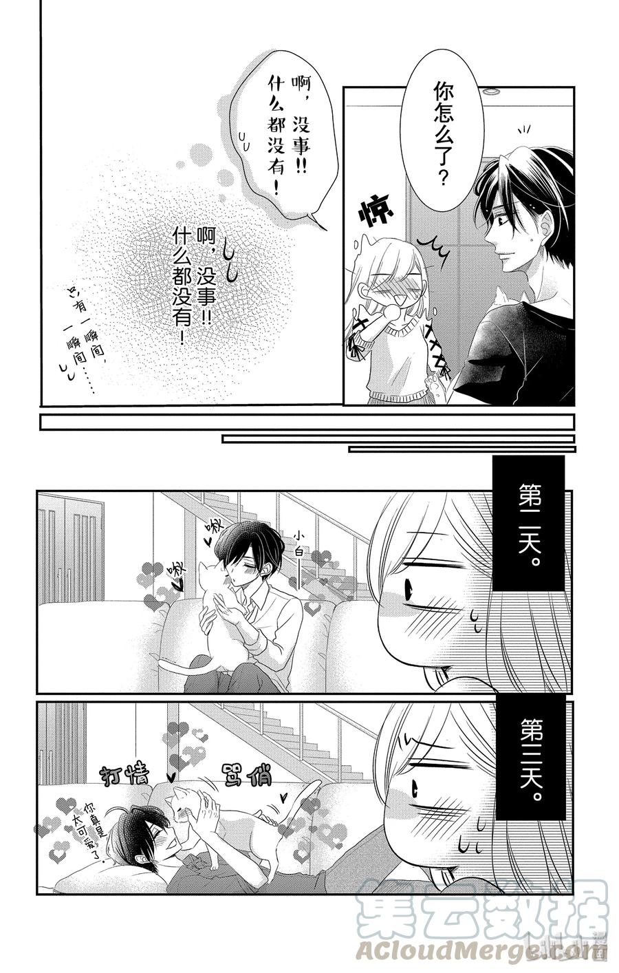 48 小猫和宝宝1