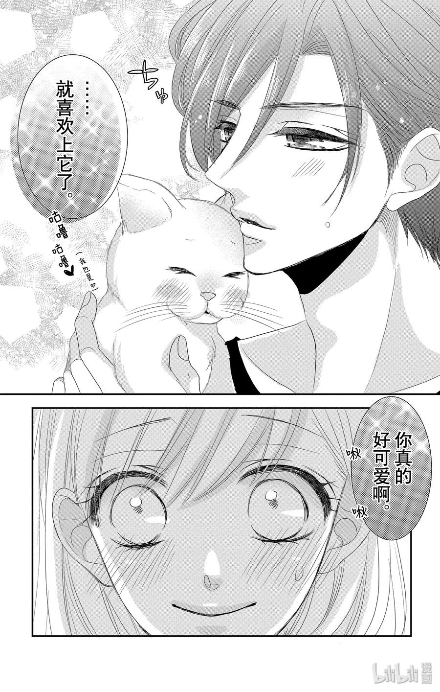 48 小猫和宝宝0