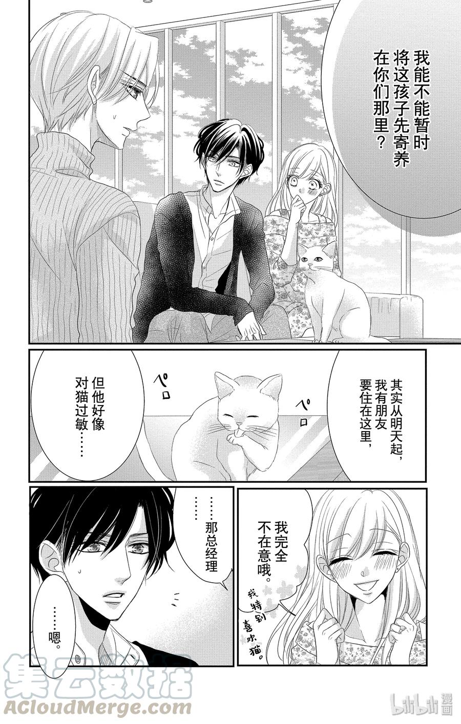 48 小猫和宝宝3