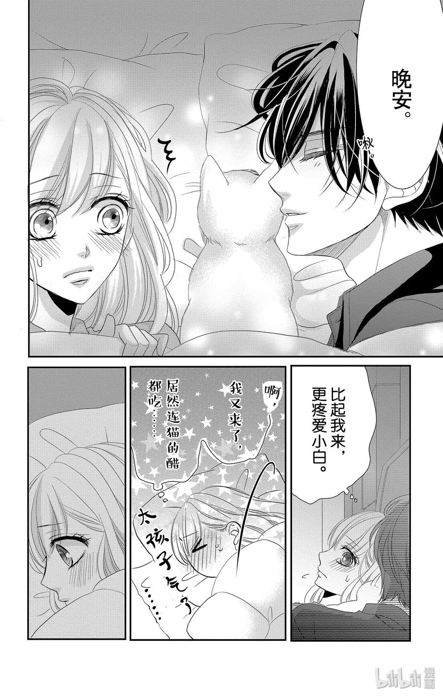 48 小猫和宝宝3