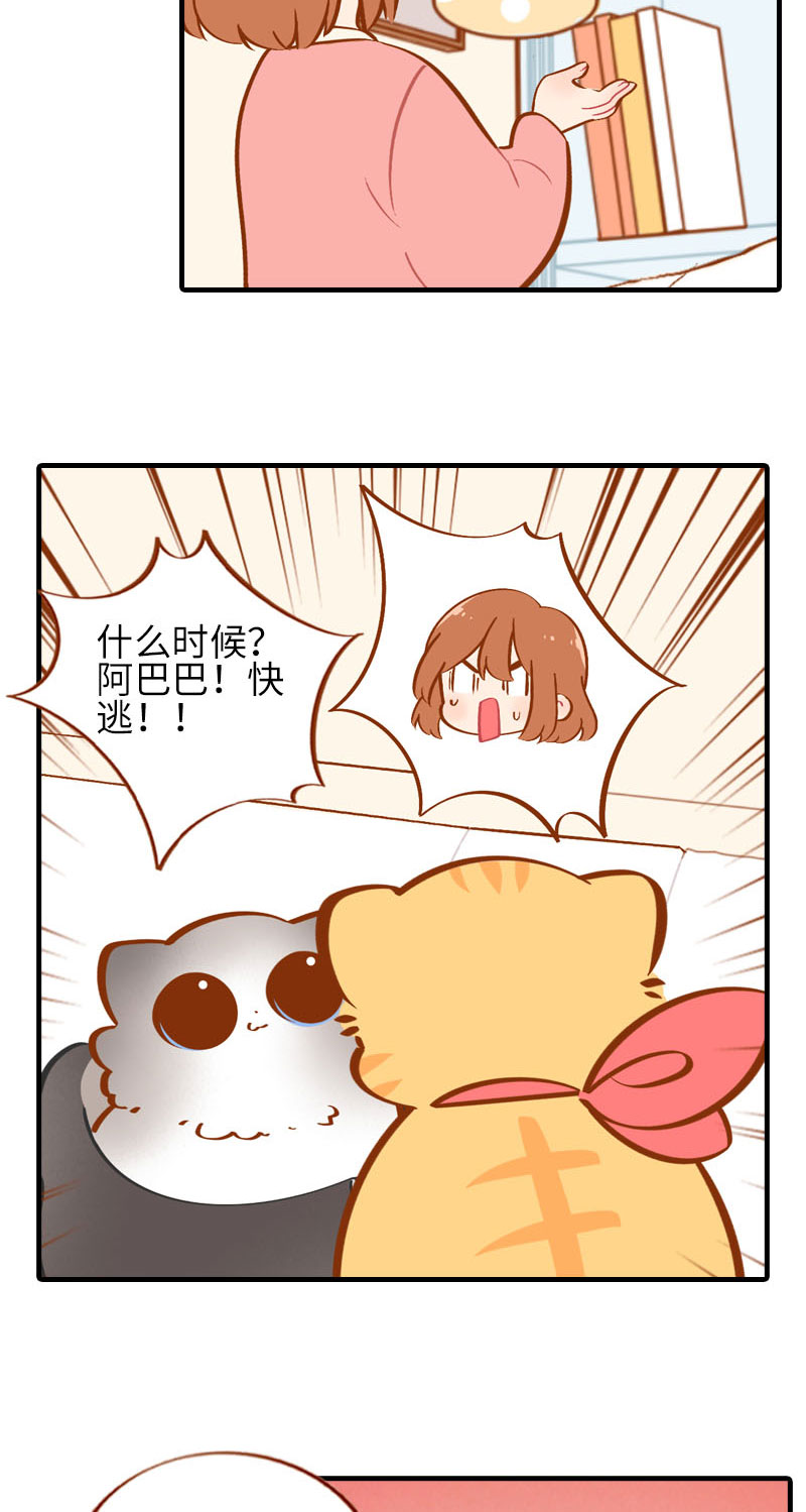第36话 橘子！地位不保？！2