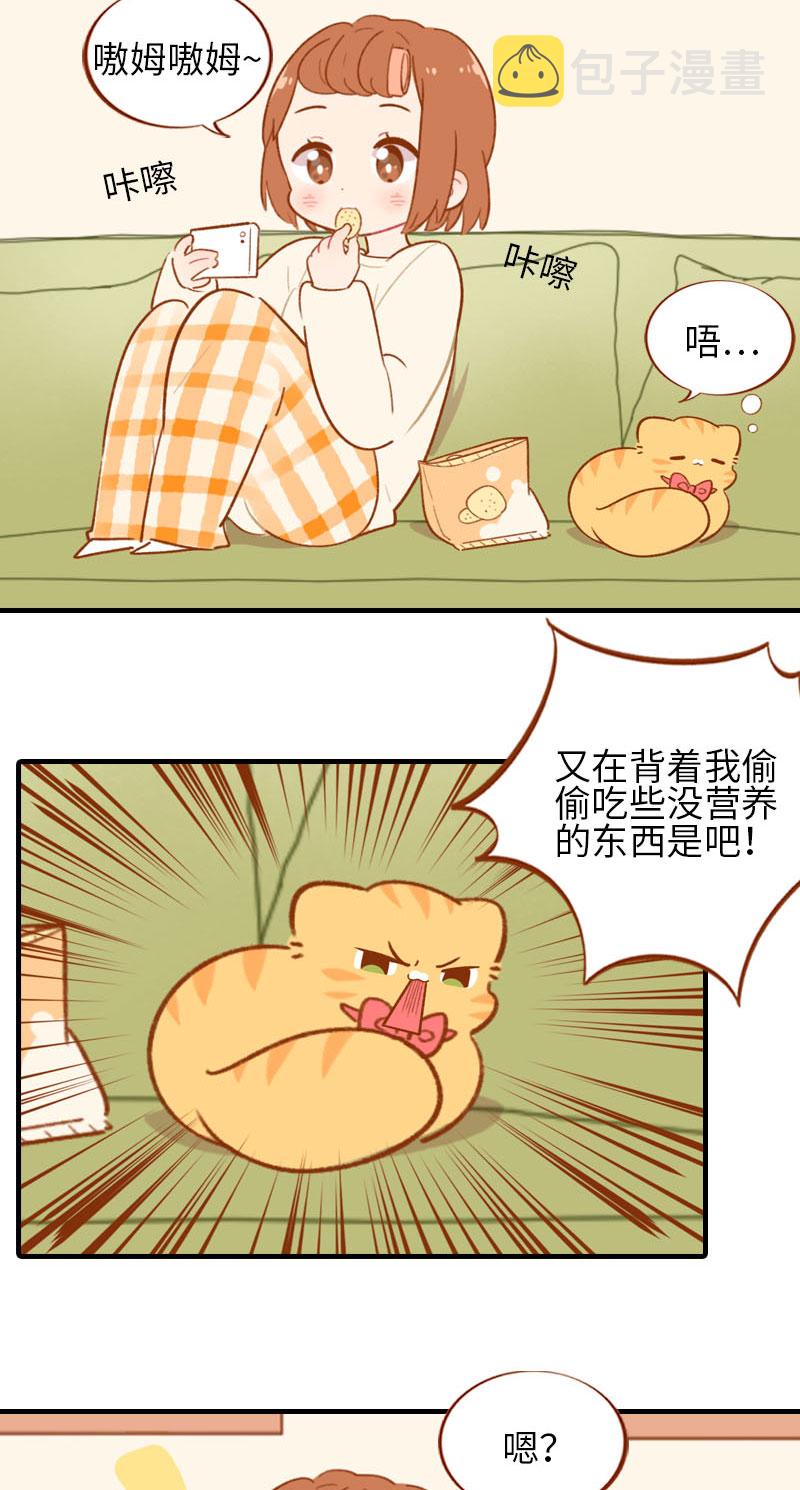 第53话 猫咪翻译机4
