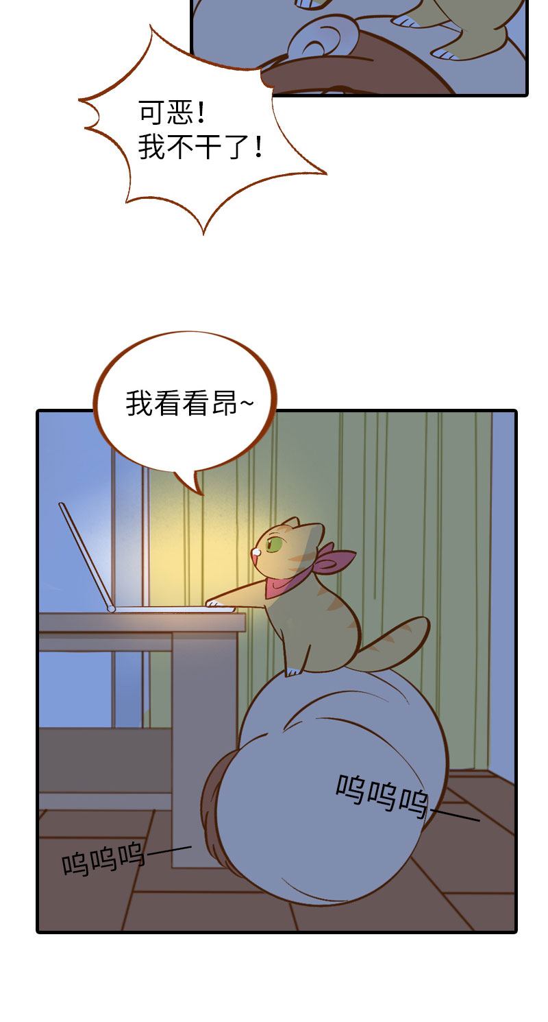 第9话 橘子：甲方克星4