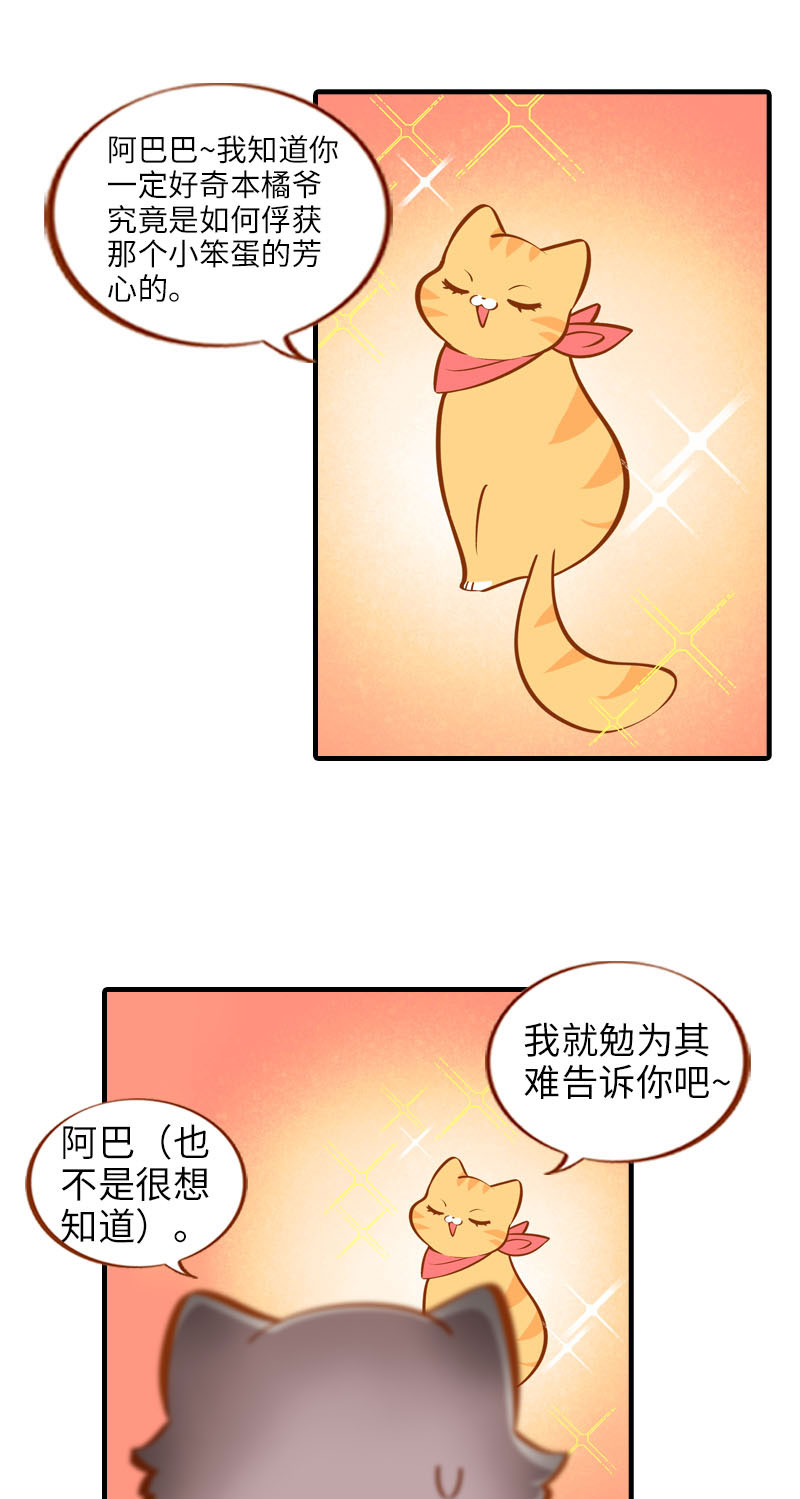 第17话 橘子的自我攻略1