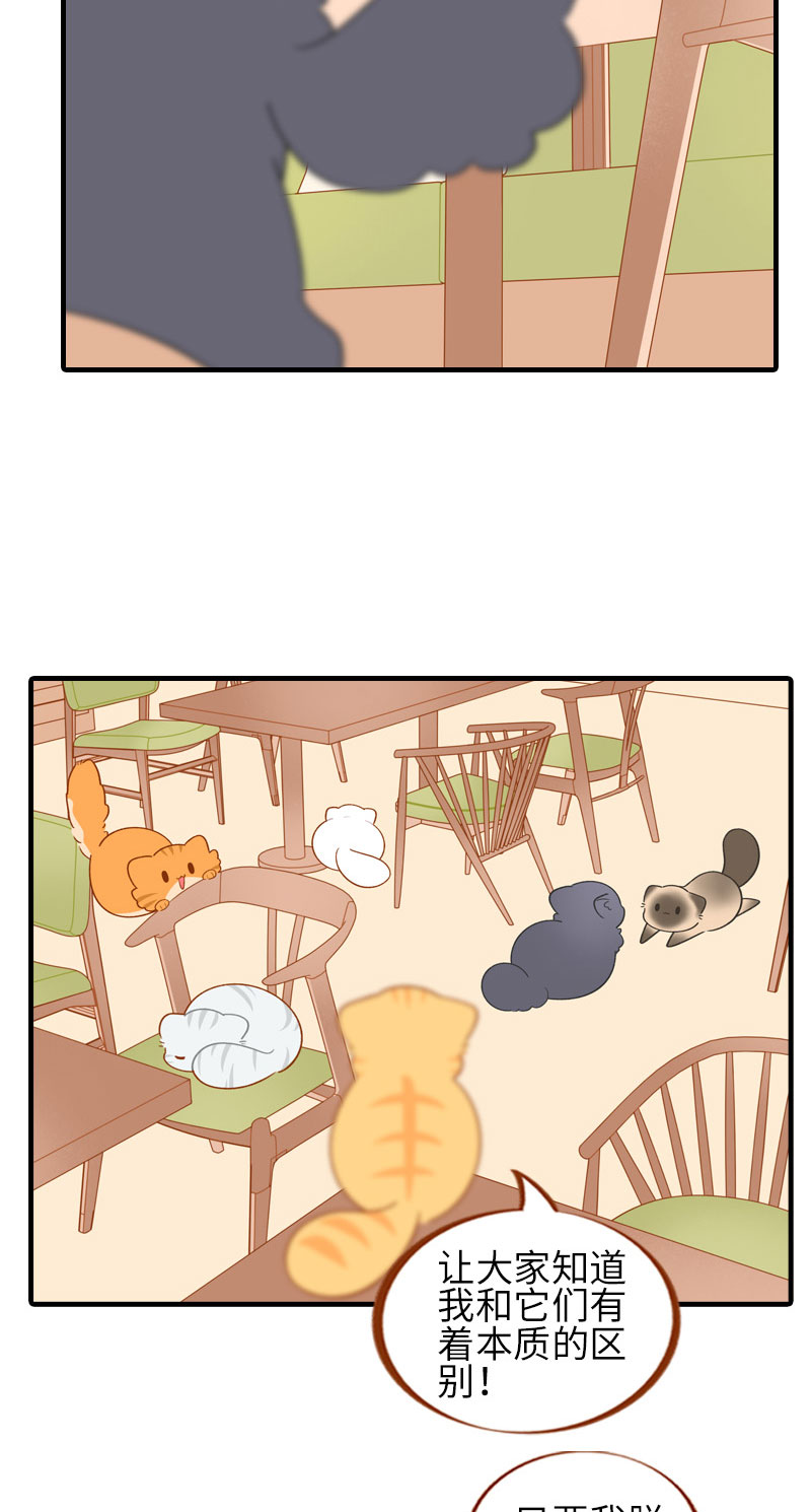 第51话 橘爷我不会被命运打败！2