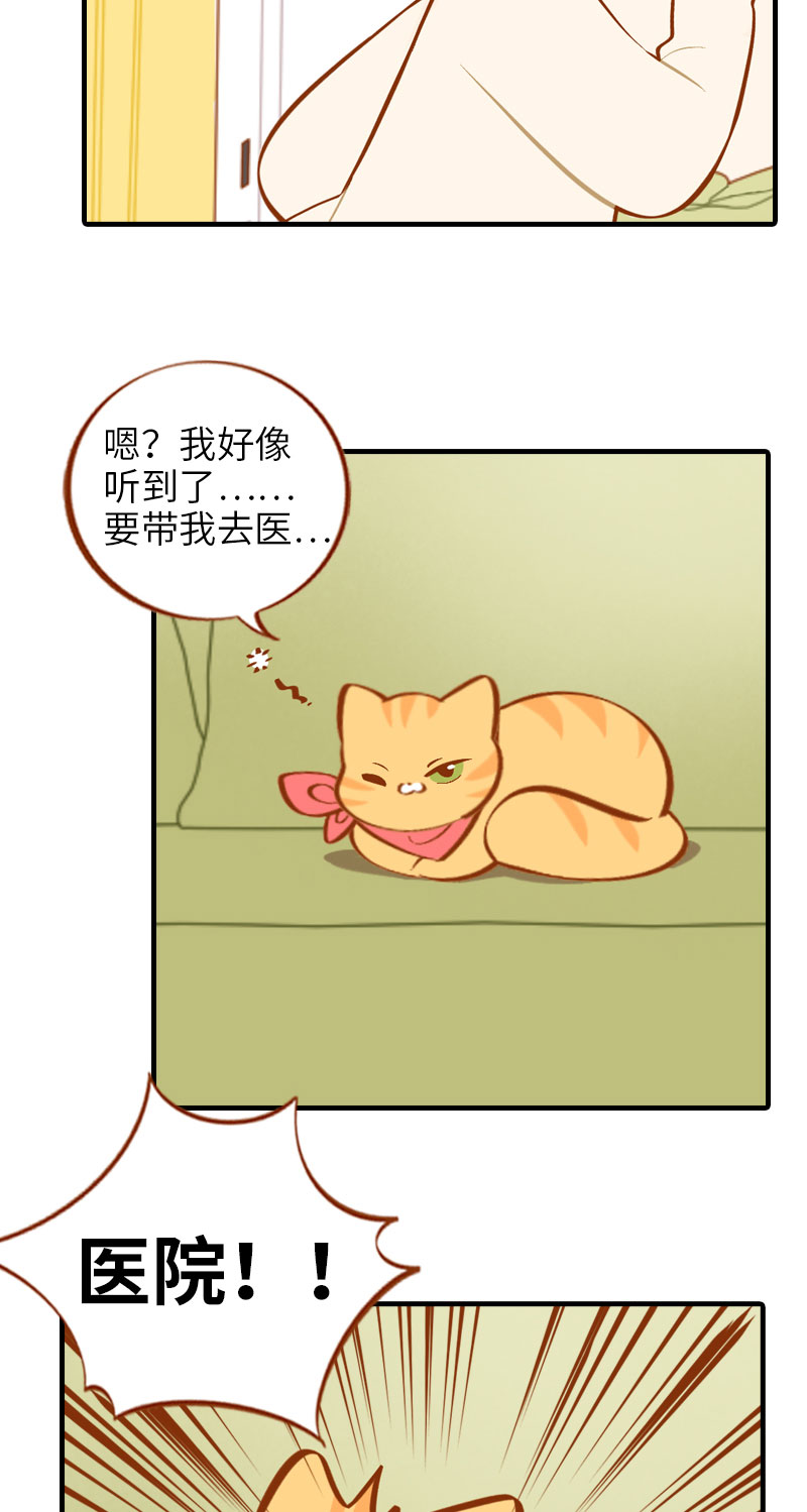 第13话 橘子呼噜呼噜4