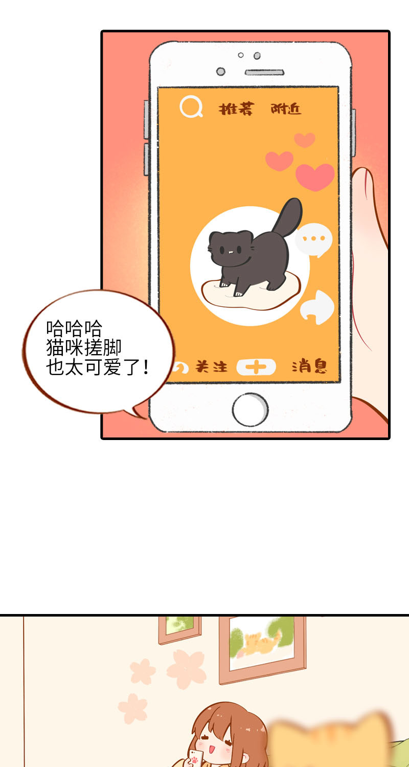 第31话 猫咪搓脚？安排！1