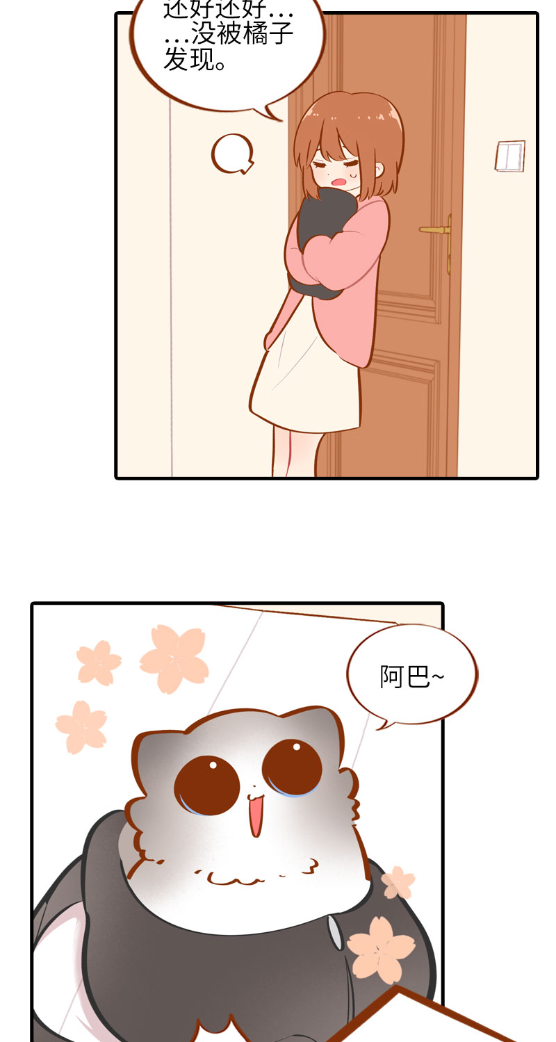 第35话 橘子和阿巴巴的初次见面4