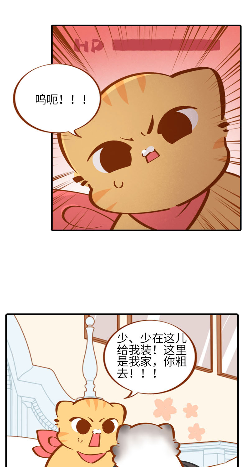 第36话 橘子！地位不保？！4