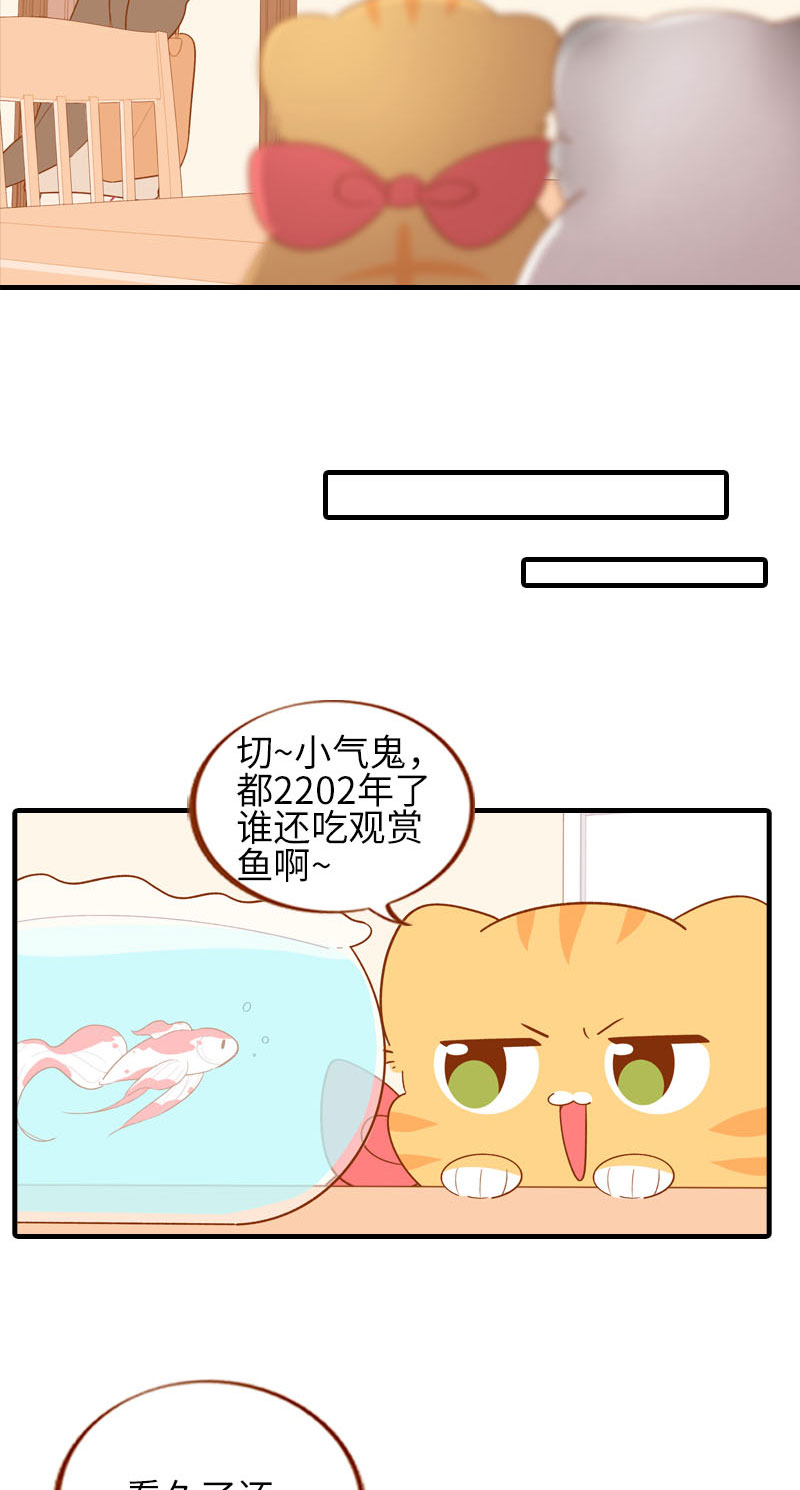 第57话 谁还吃观赏鱼啊~4