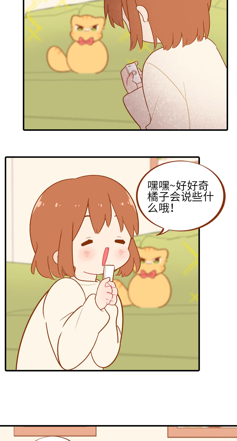 第53话 猫咪翻译机3