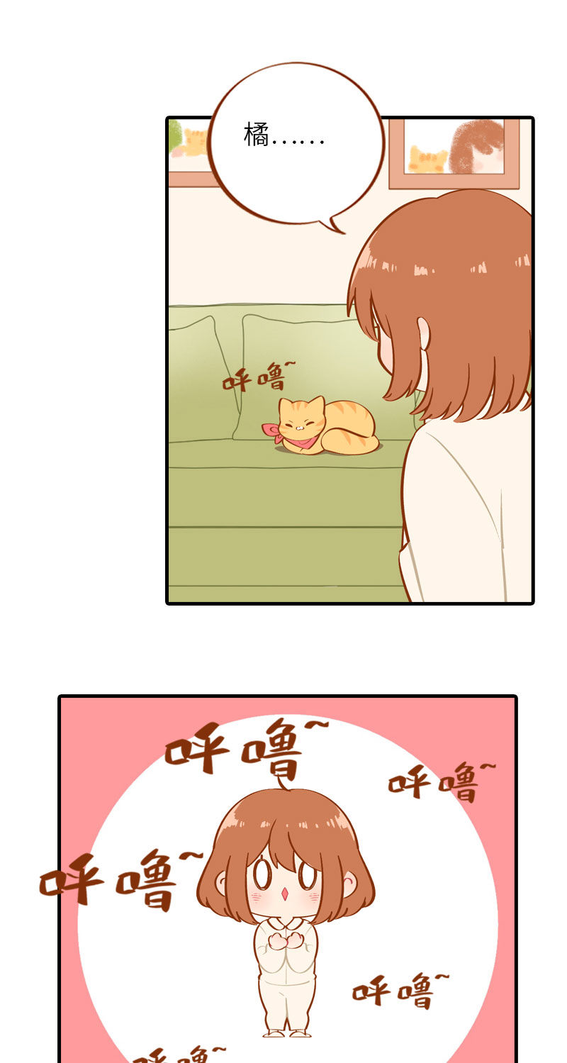 第13话 橘子呼噜呼噜1