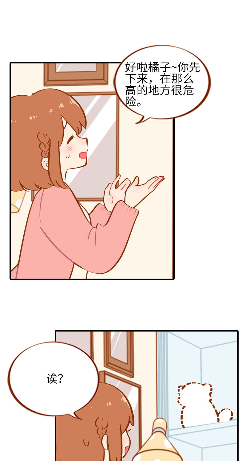 第36话 橘子！地位不保？！1