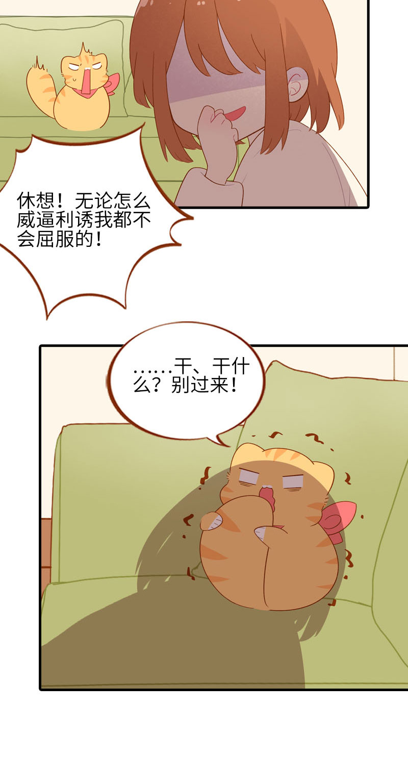 第56话 任人宰割的小猫咪4