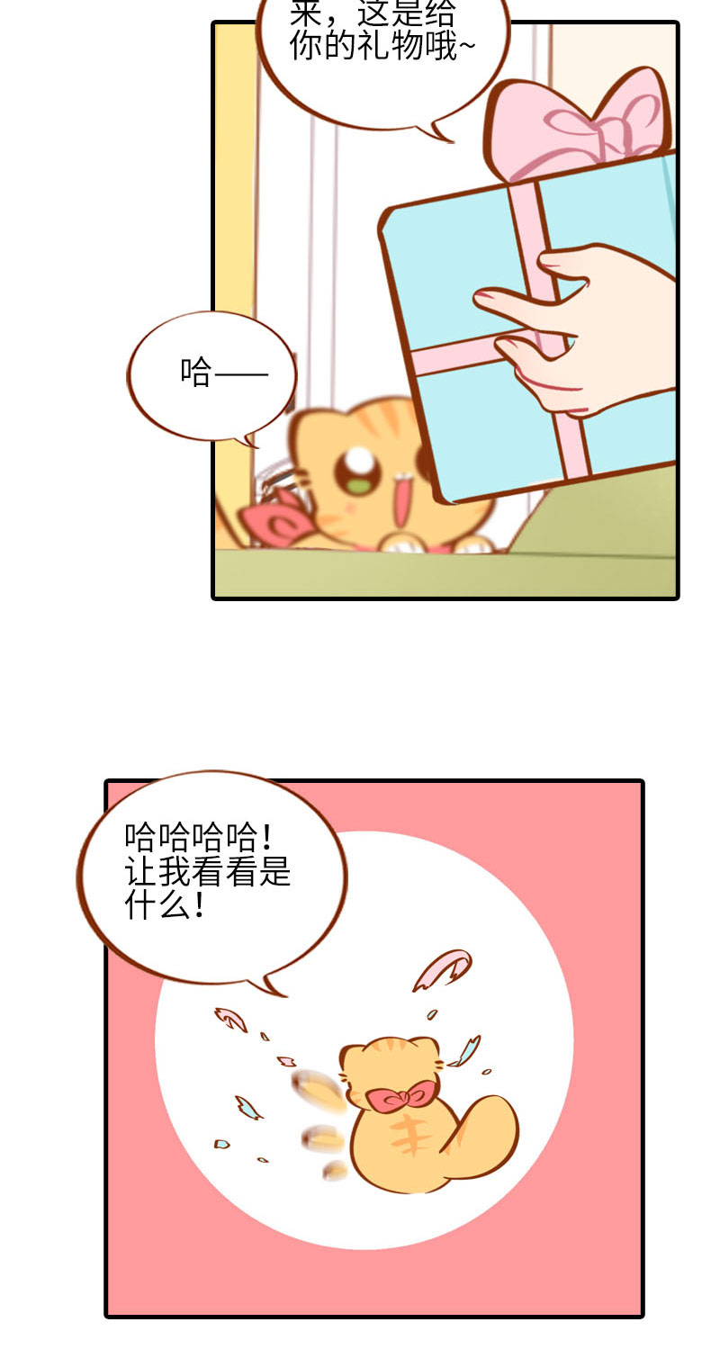 第32话 橘子来拆礼物了！4