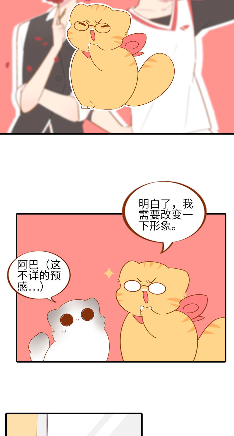 第58话 橘子和阿巴巴风格转换！3