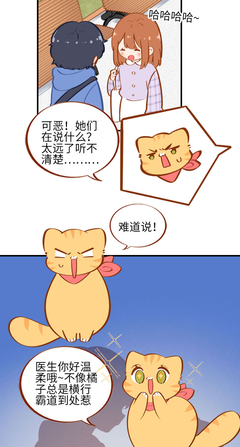 第24话 吃醋的小猫咪-橘子3