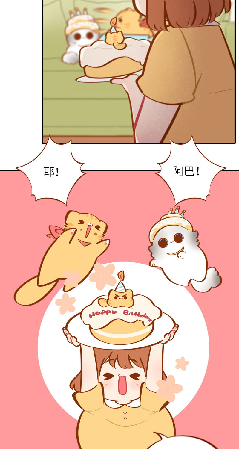 第33话 许个愿吧~2