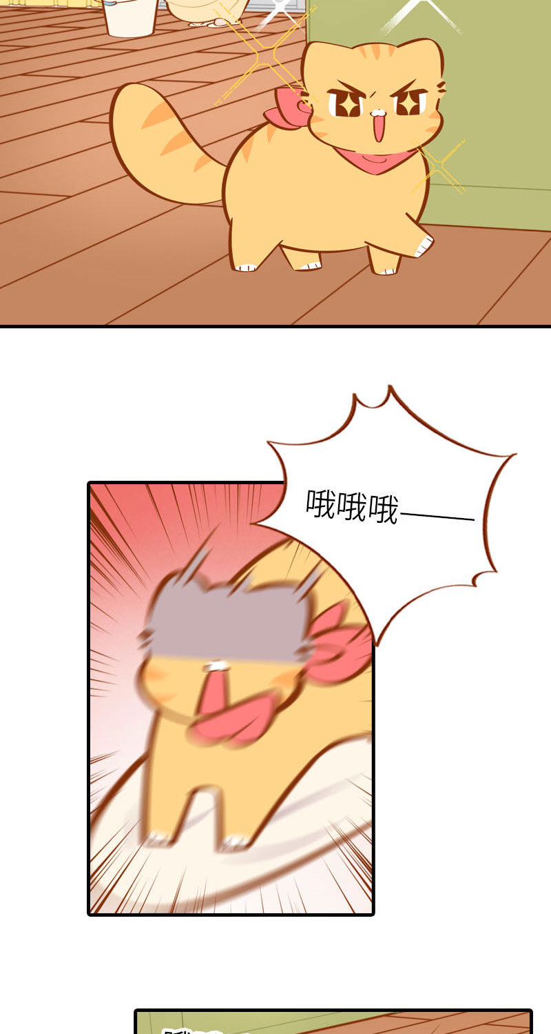 第29话 漂亮宝贝不干了！3