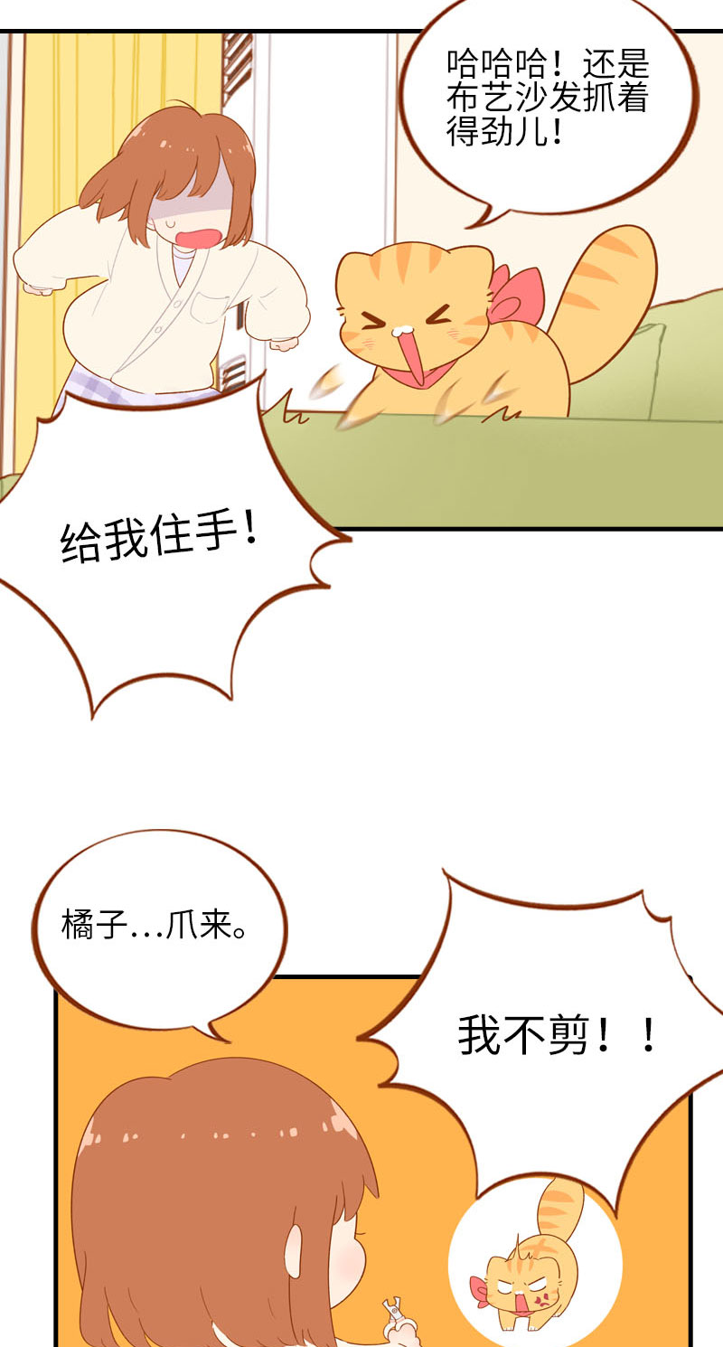 第56话 任人宰割的小猫咪2