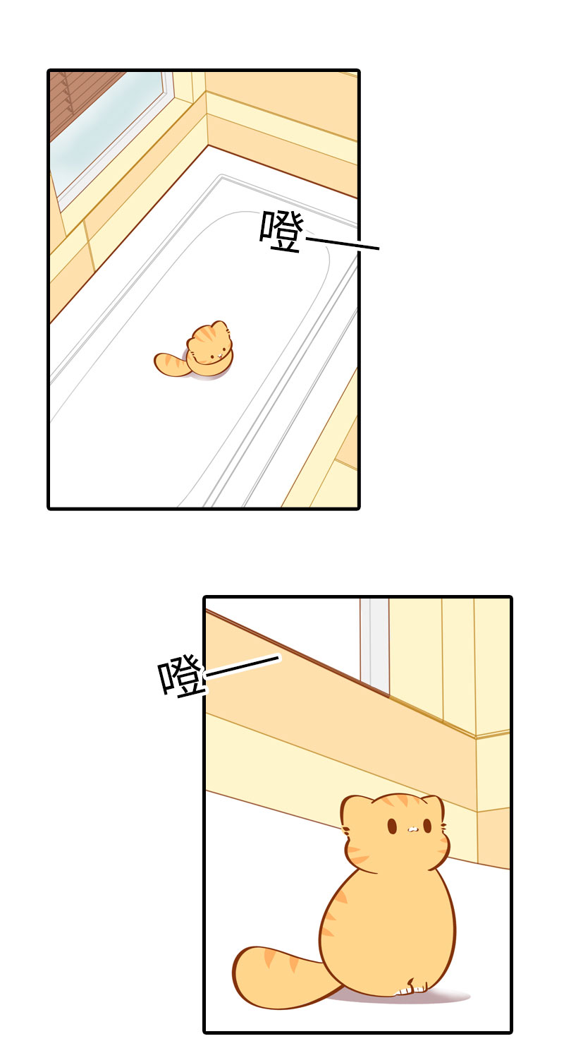 第30话 一年一度洗澡日1