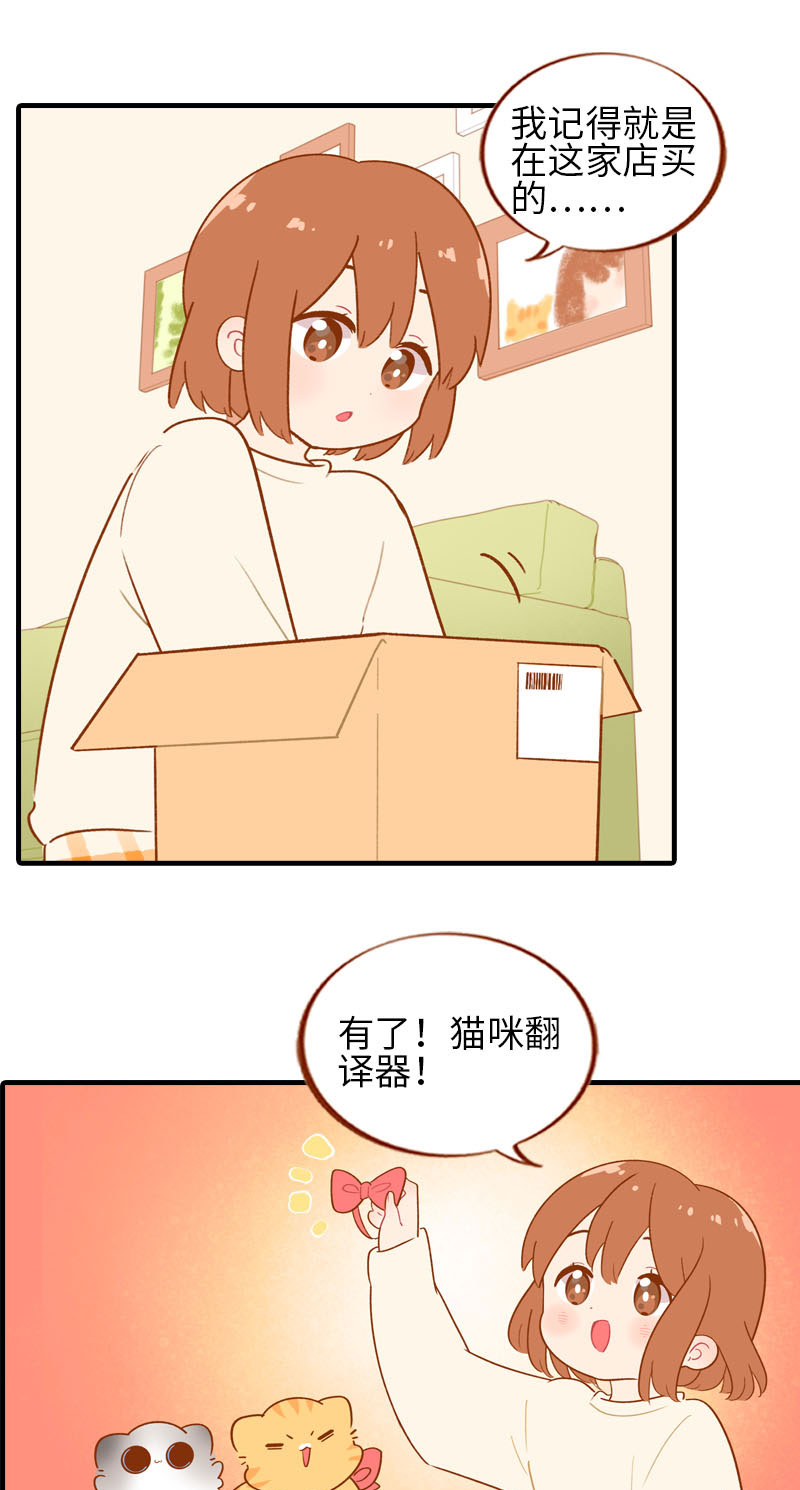 第53话 猫咪翻译机1