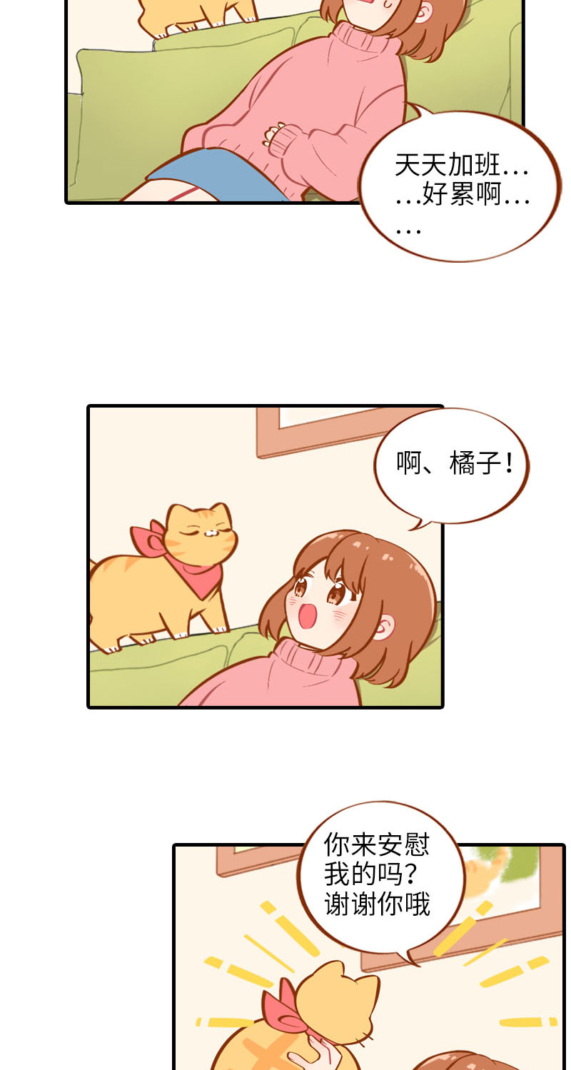 第17话 橘子的自我攻略3