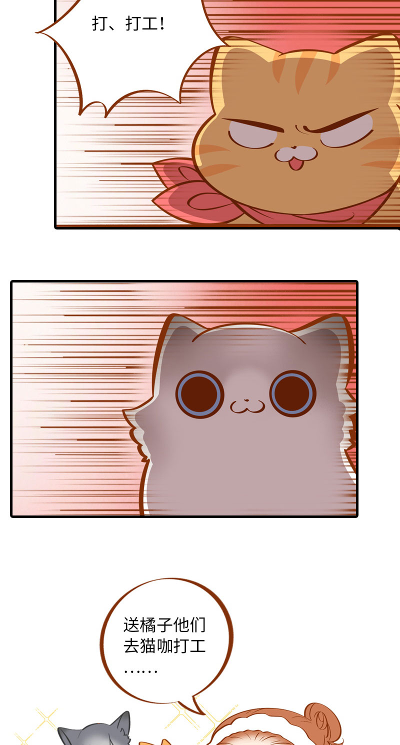 第4话 差点去猫咖打工3