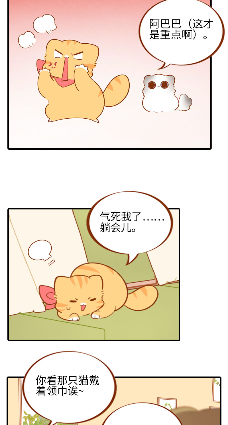 第49话 橘子的本体4
