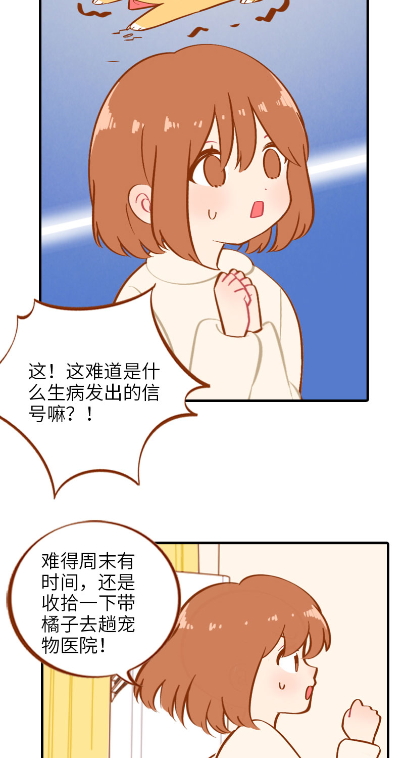 第13话 橘子呼噜呼噜3