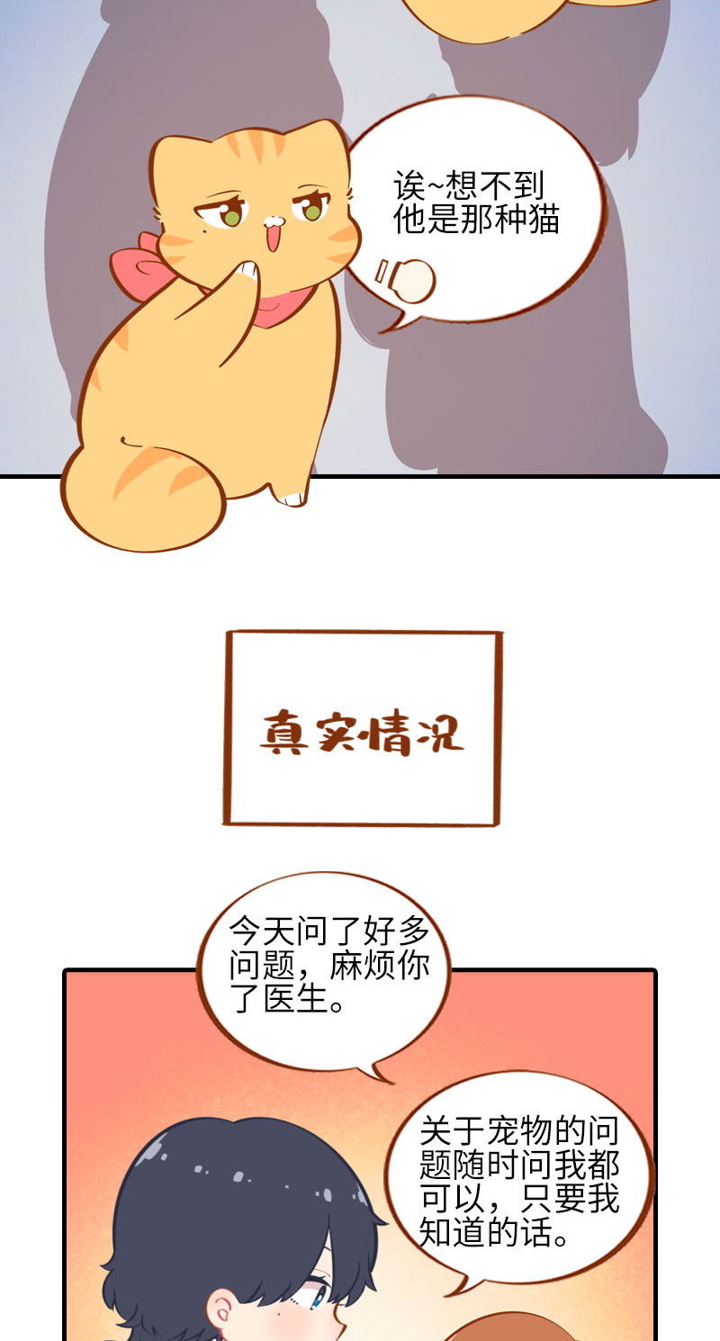 第24话 吃醋的小猫咪-橘子4