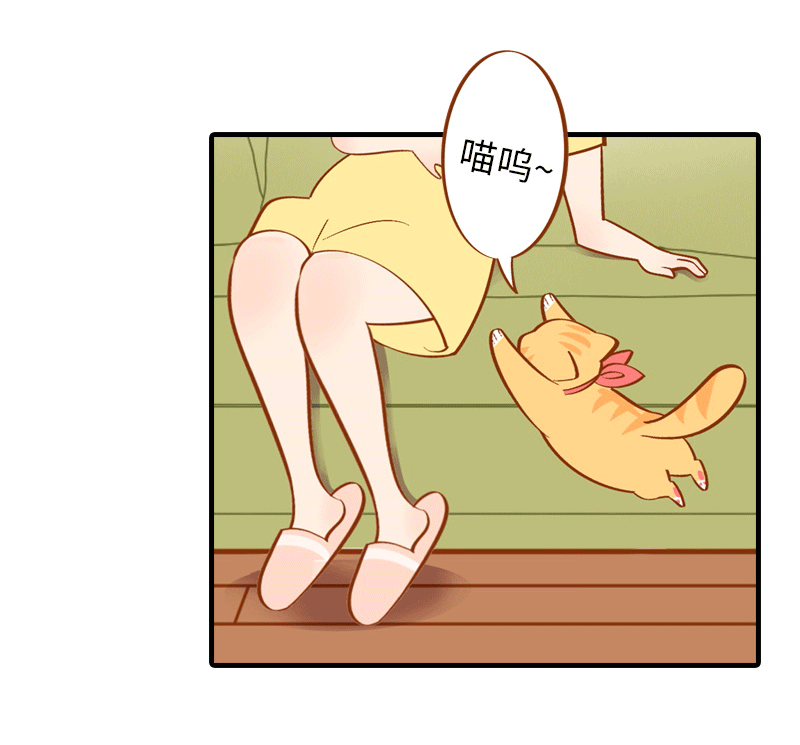 第1话  肚皮肉大作战2