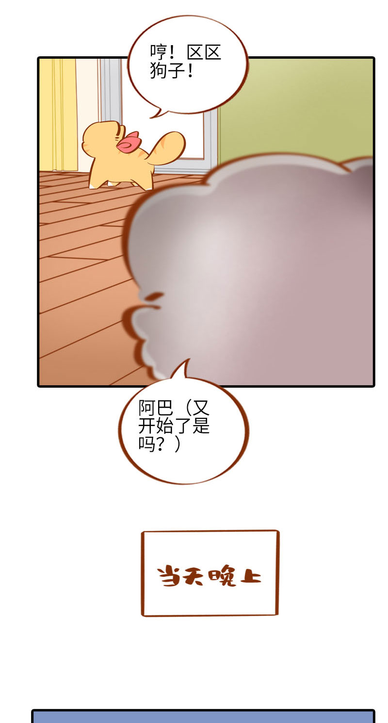 第40话 养狗一日体验2