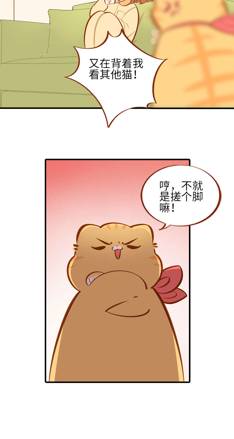 第31话 猫咪搓脚？安排！2