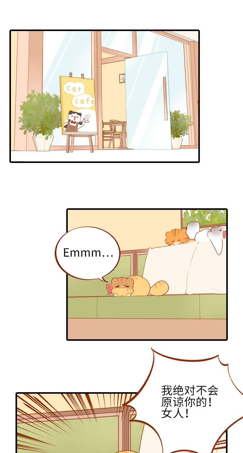 第49话 橘子的本体1