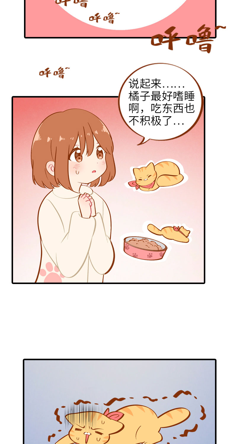 第13话 橘子呼噜呼噜2