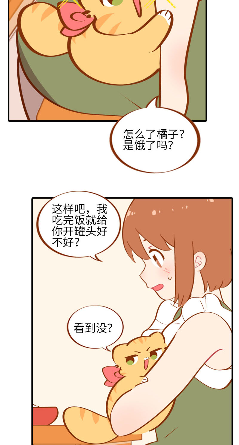 第42话 我又回来了3